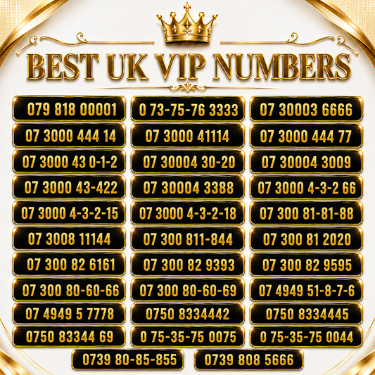 Premium UK VIP Numbers – Rare Gold Numbers 00001, 3333, 6666, 073000 for Sale A9-E