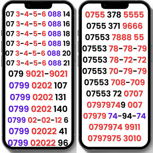 Lebara UK VIP numbers and gold numbers with 3-4-5-6, 0202, 9021-9021, 5555 and 9666 patterns on two phone screens